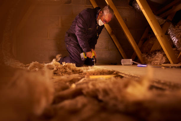 Best Insulation Replacement Services  in USA